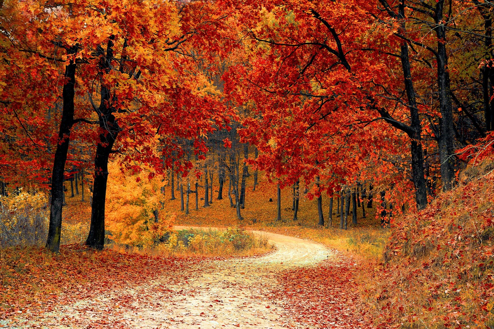 3 Reasons Why You Should Embrace Autumn